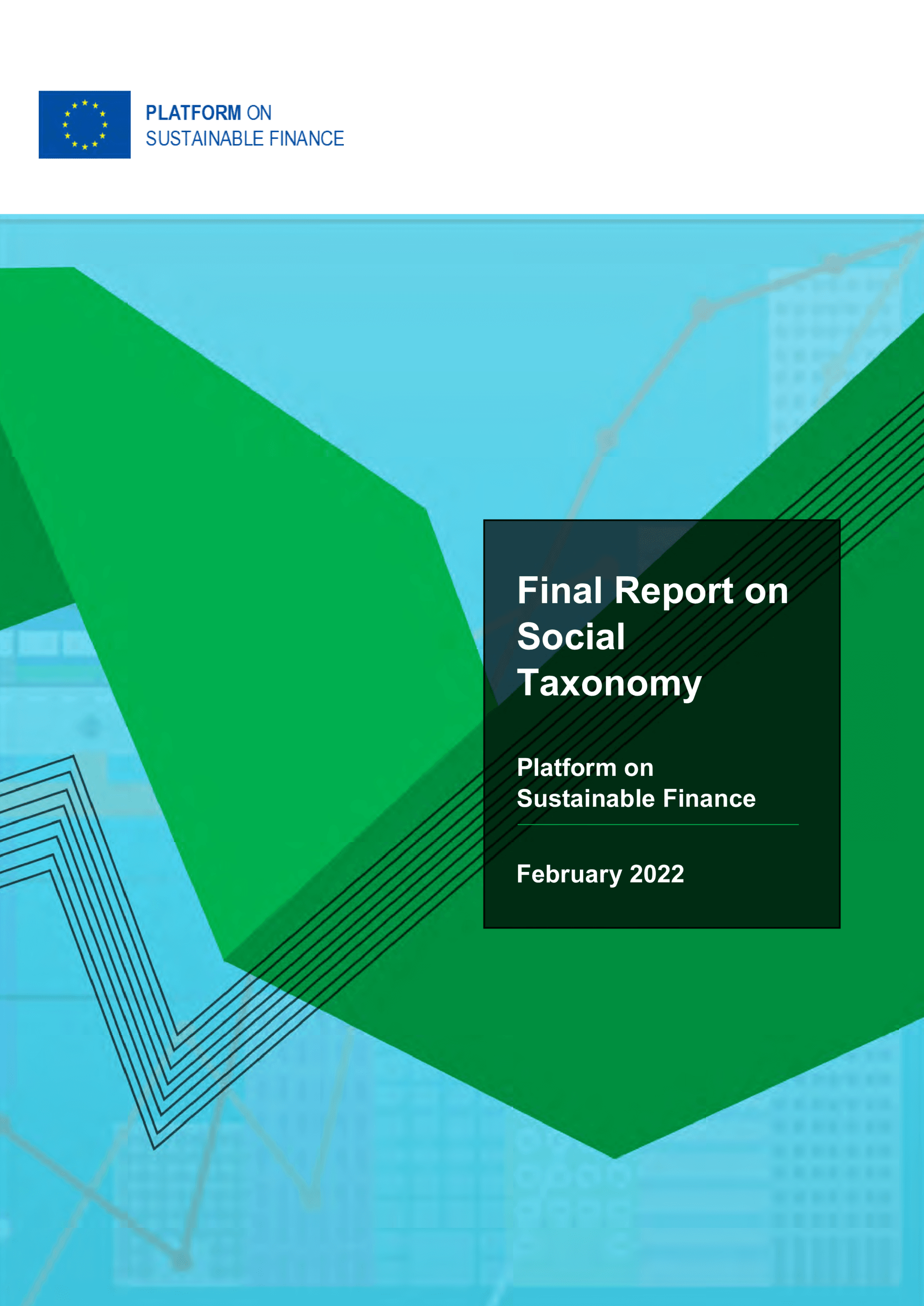 Final report on social taxonomy