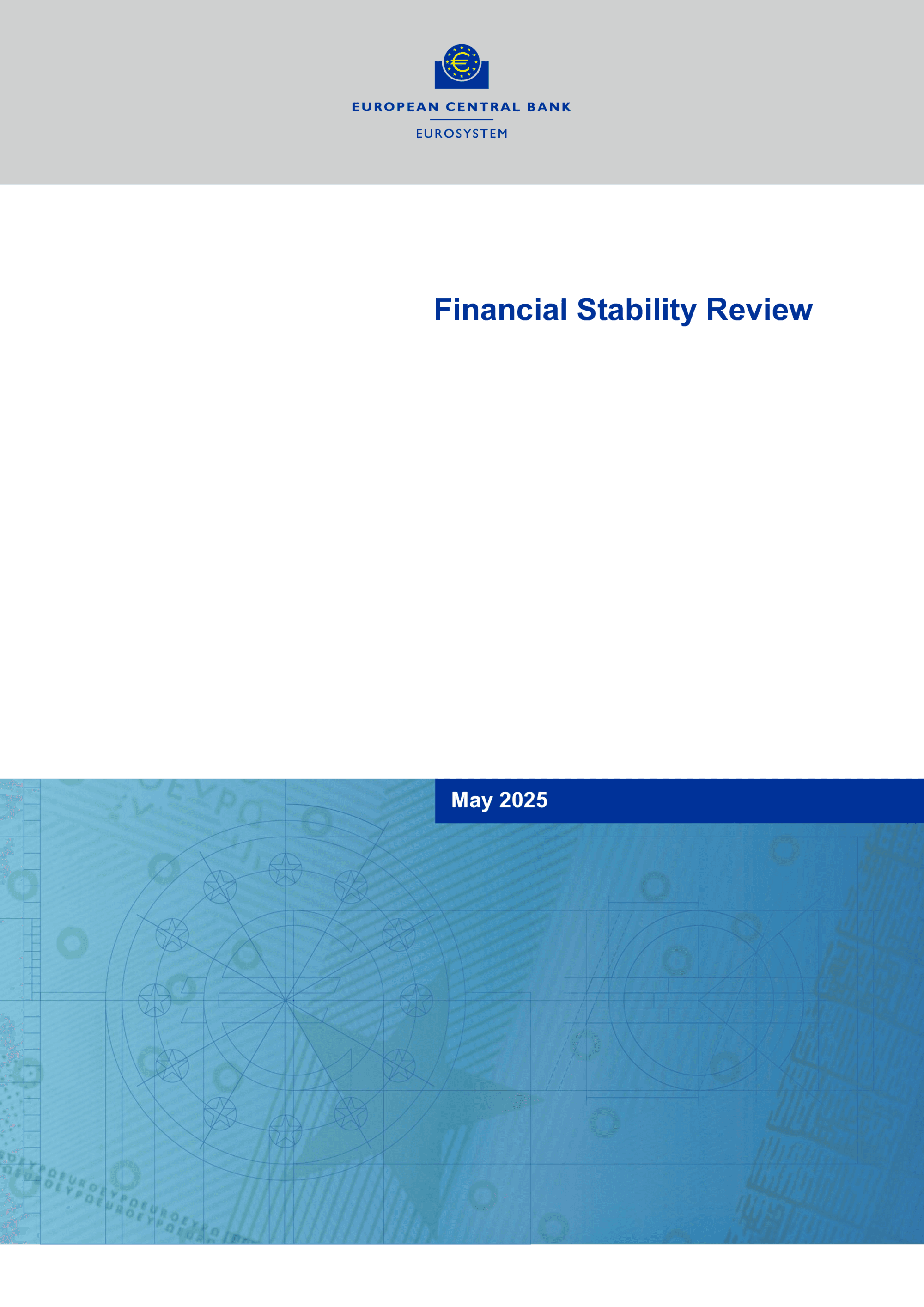 Financial stability review, May 2025