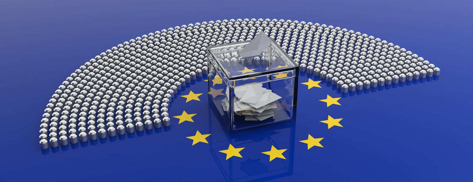 European Election 2024