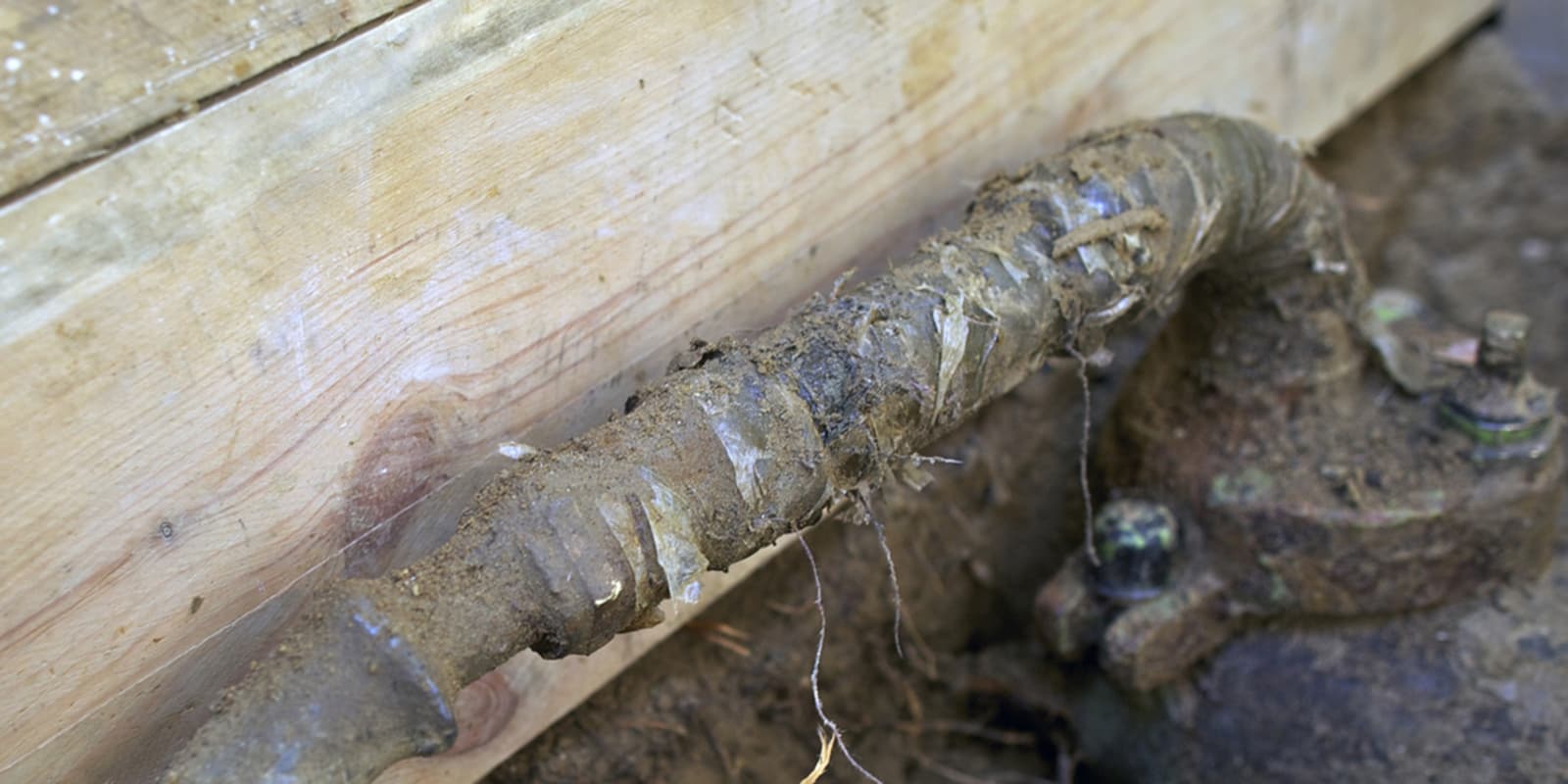 Berlin Smart Water — Digital Water Management