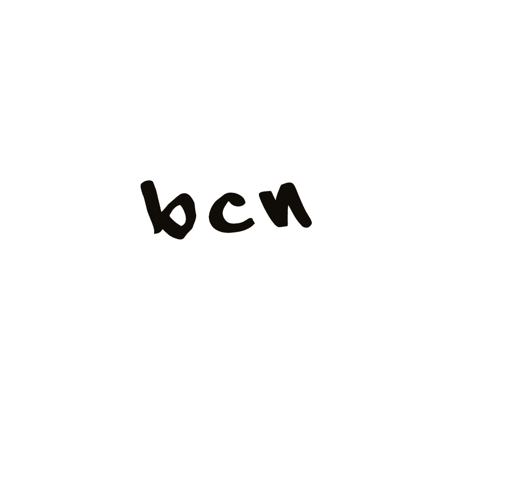 Bicing (Barcelona City Council)