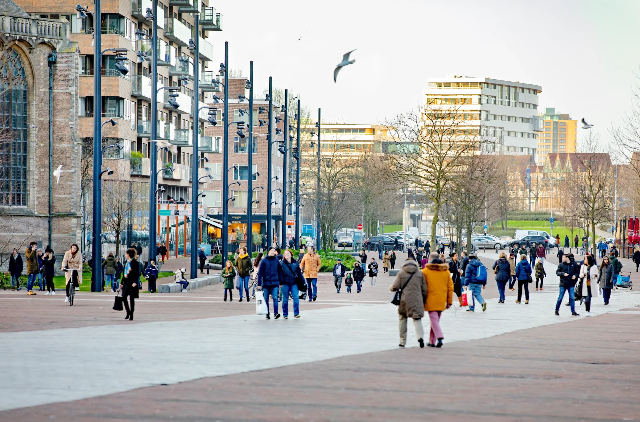 Greening Without Borders Rotterdam