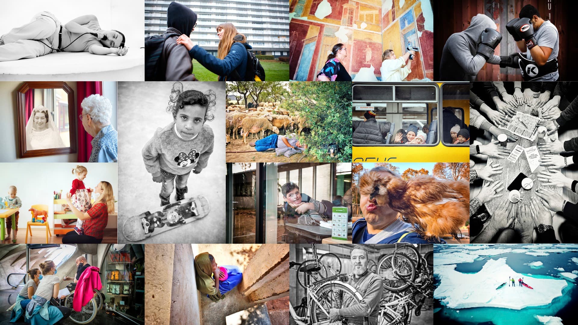 The King Baudouin Foundation