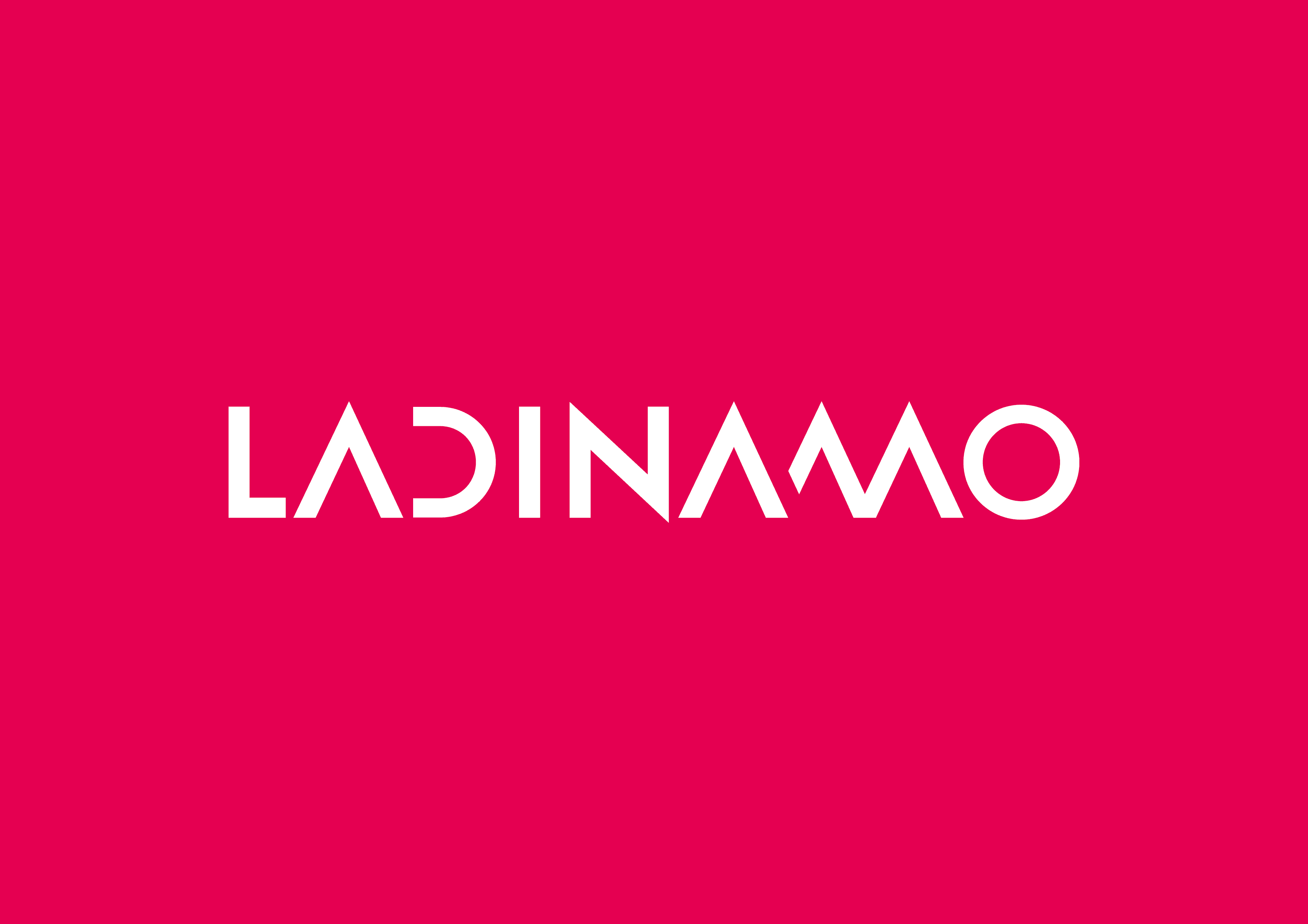 La Dinamo Fundació