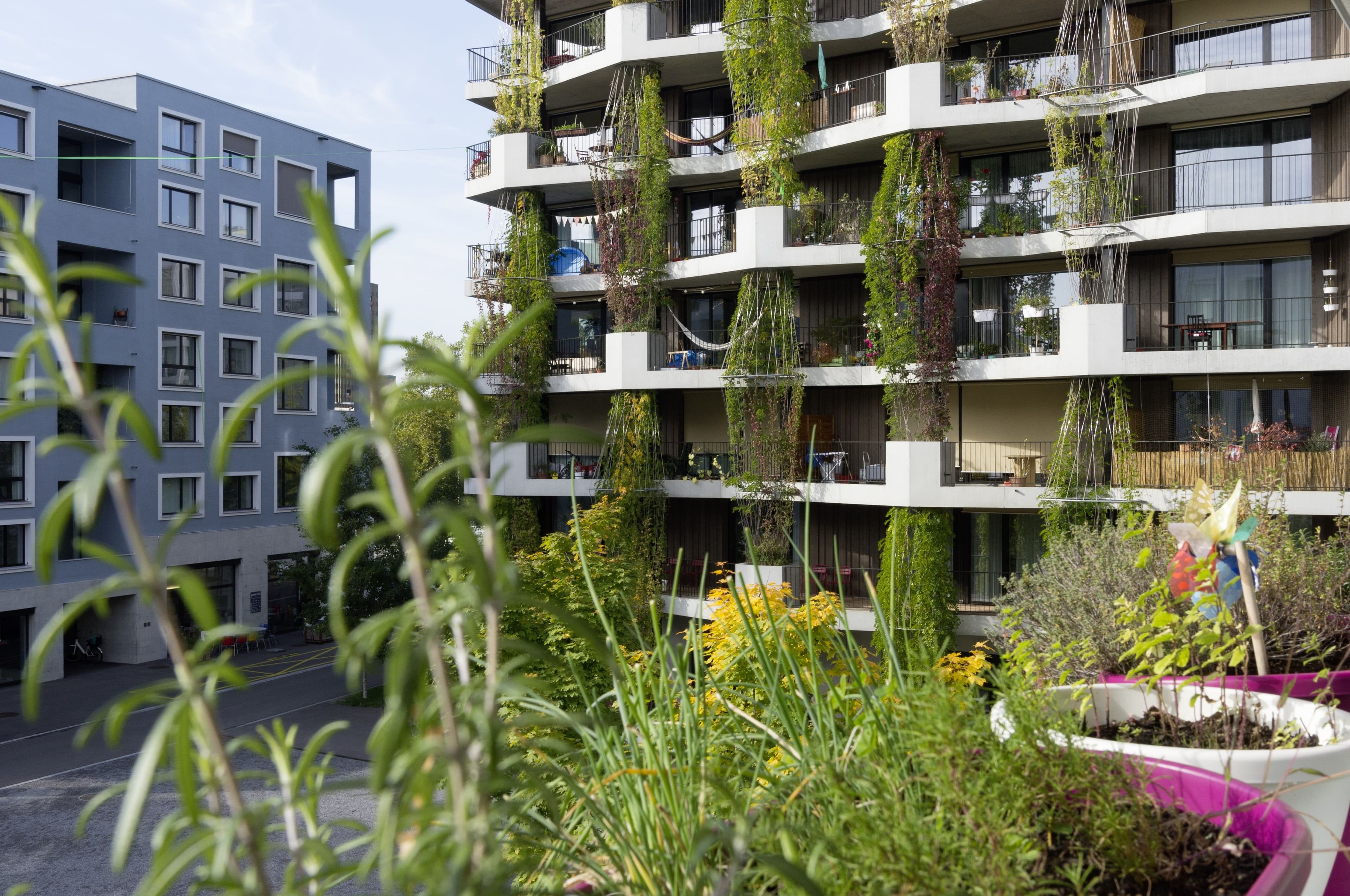 Hobelwerk Winterthur