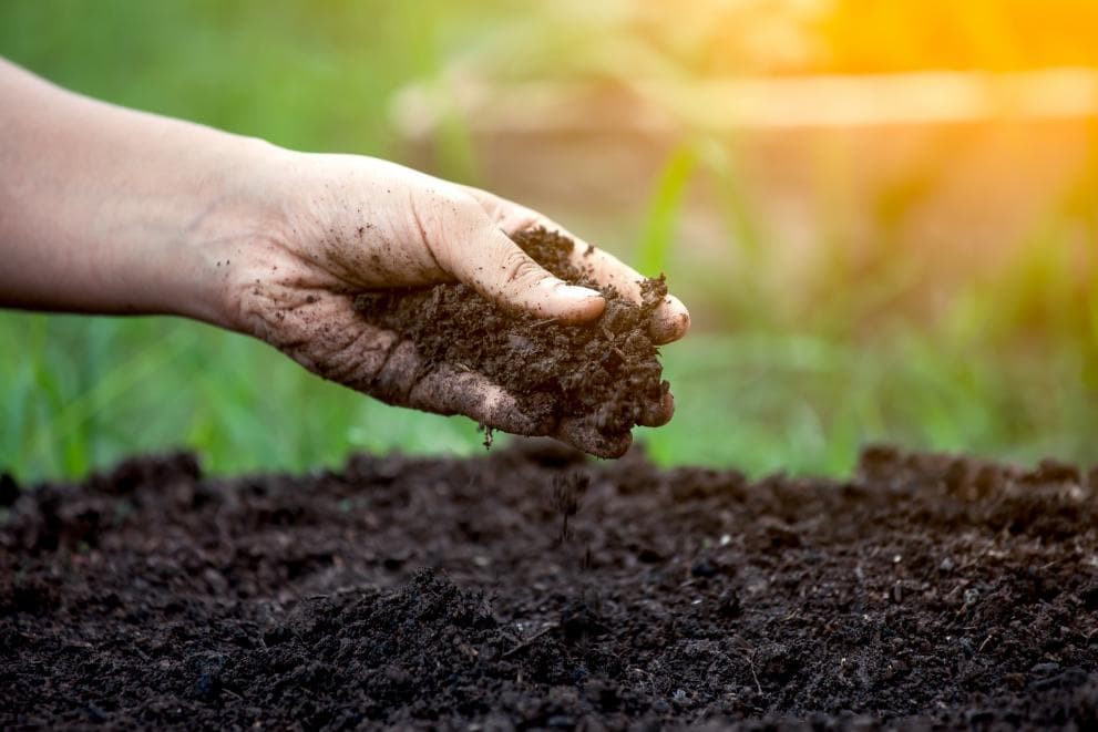 EU soil strategy for 2030: Reaping the benefits of healthy soils for people, food, nature and climate