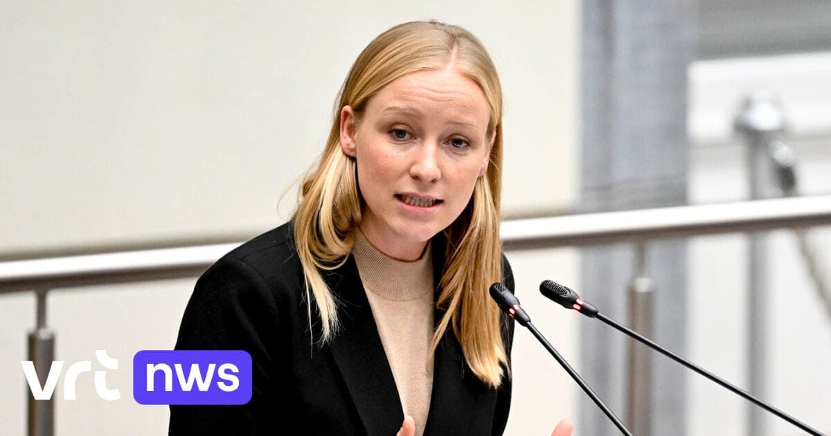 Bouwen of betalen: minister Depraetere wil sancties voor gemeenten die te weinig sociale woningen bouwen