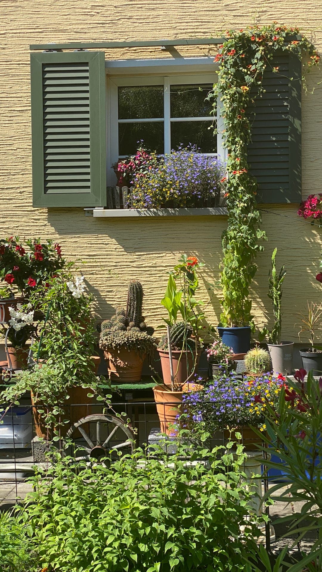 Gartenstadt Nürnberg eG