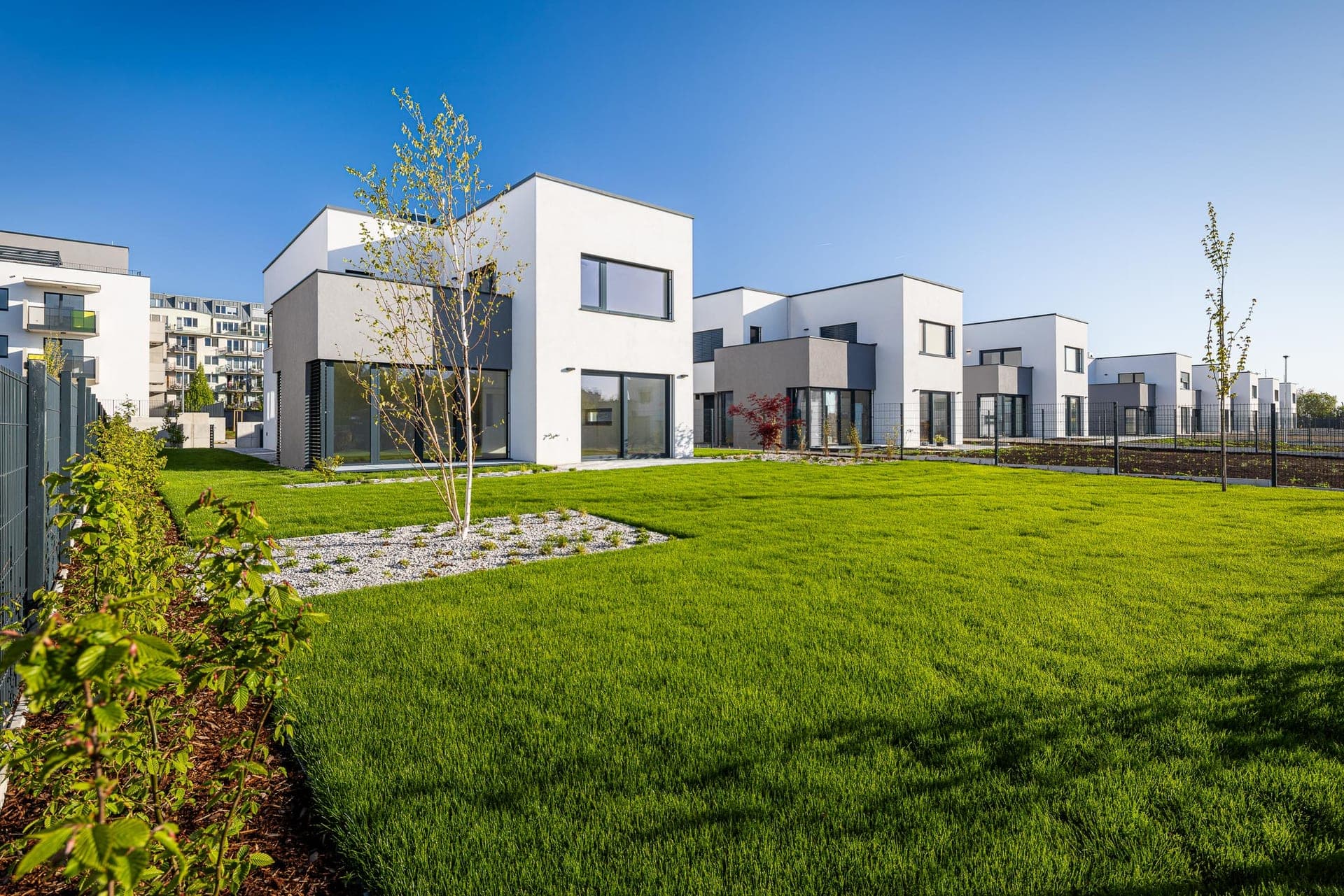 Coop Development, družstvo