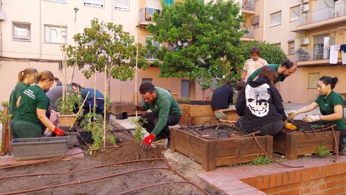 COV (Cooperativa Obrera de Viviendas)