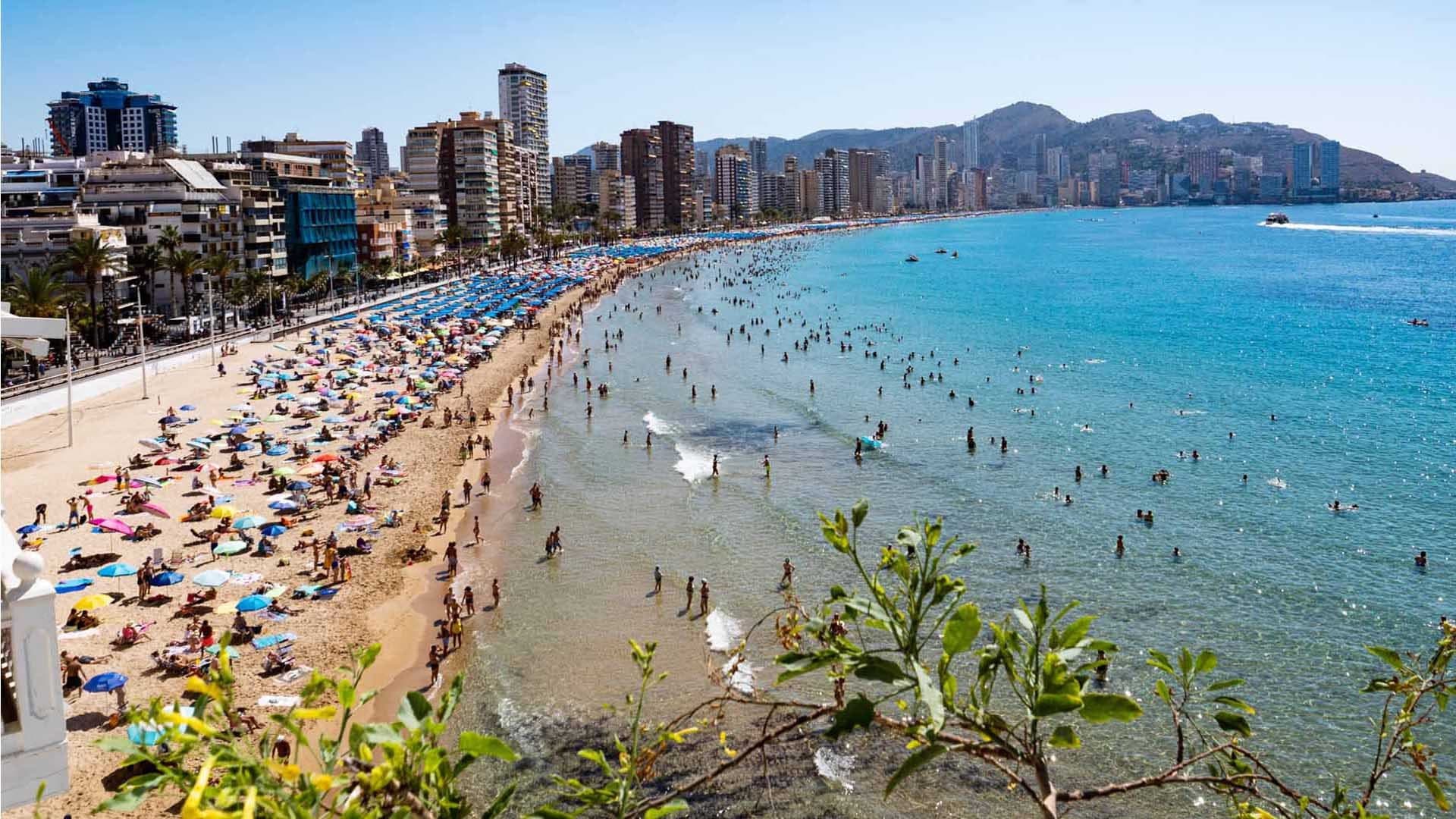Alicante, dónde vas