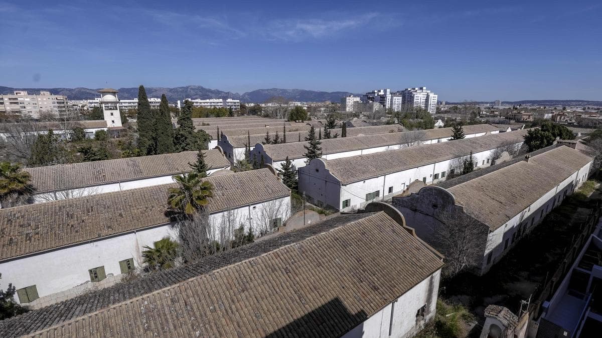 El Gobierno acusa a Cort de bloquear Son Busquets y defiende que el proyecto incorpora peticiones vecinales