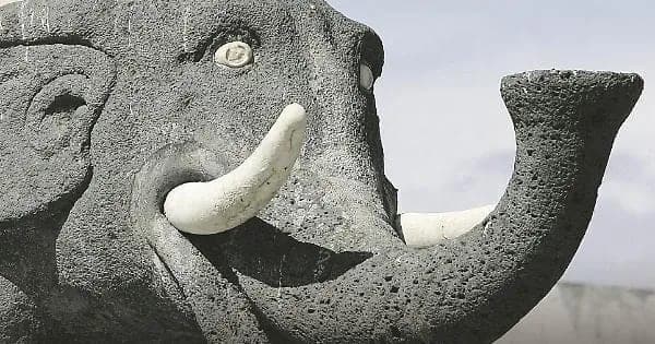 Catania, nuovi debiti per 141 milioni di euro: così il Comune rischia di non uscire dal dissesto