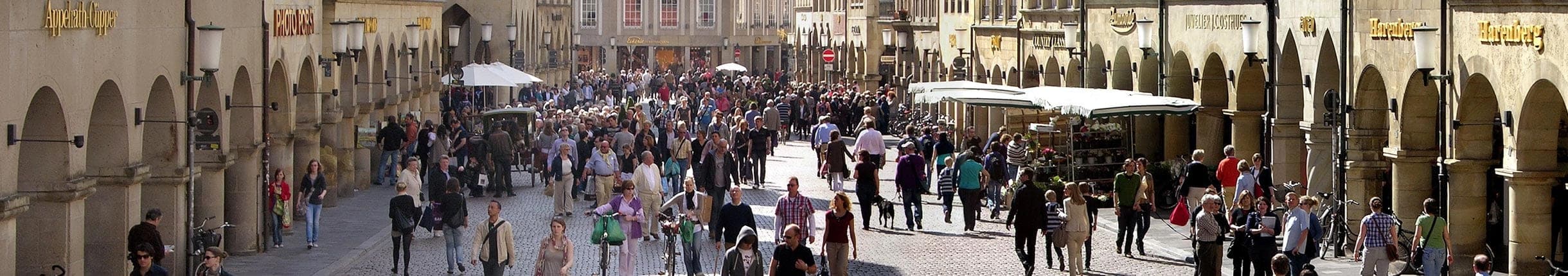 Zensus 2022: Wohnungen in Münster (Statistik-Newsletter der Stadt Münster, August 2024)