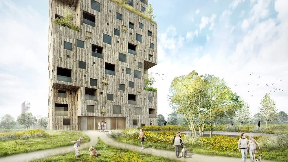 Salix (Park Meerland)