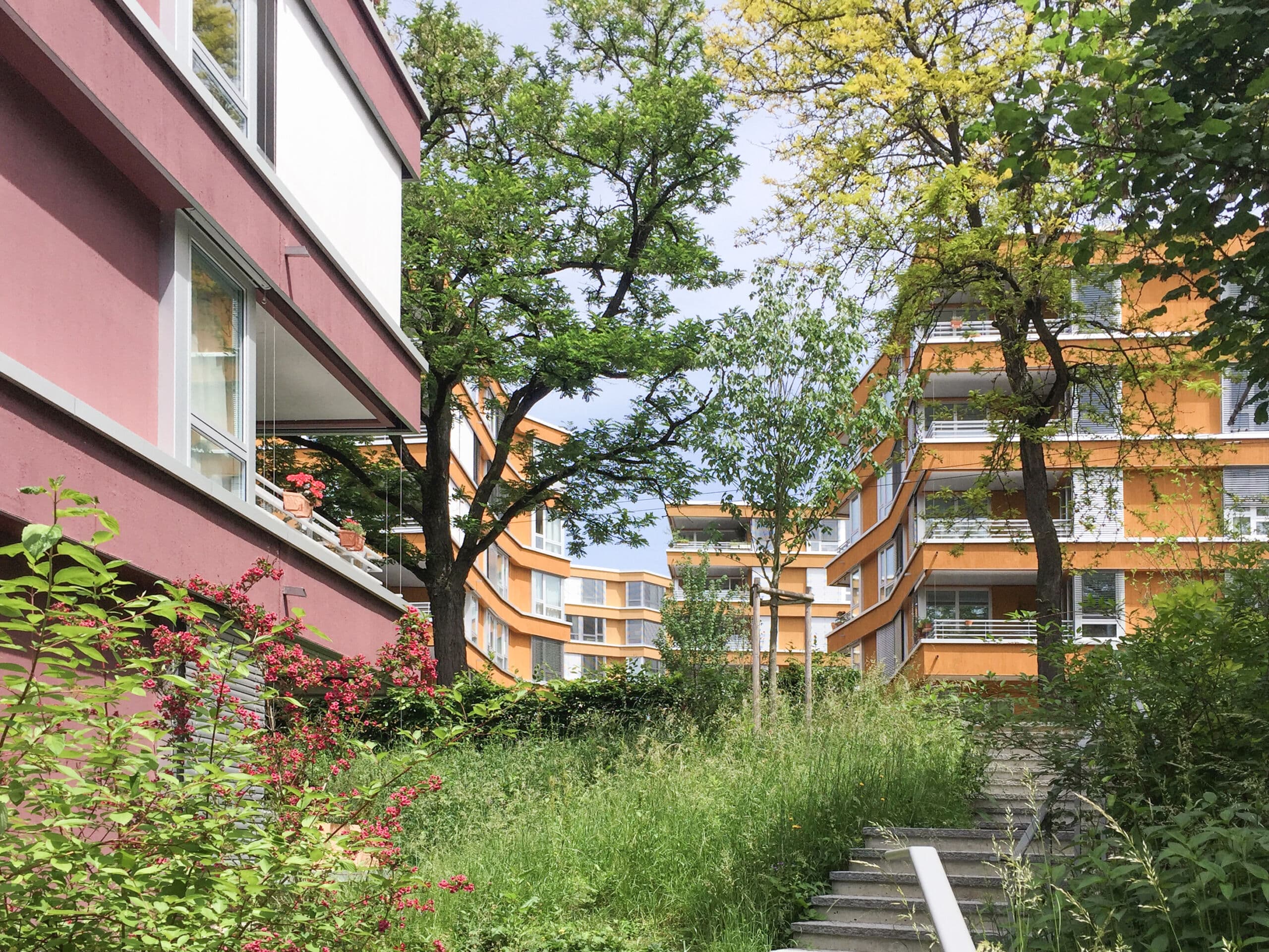 Allgemeine Baugenossenschaft Zürich (ABZ)