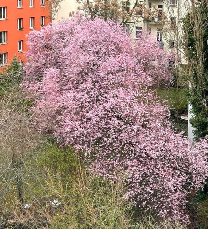 Bewohnergenossenschaft FriedrichsHeim eG